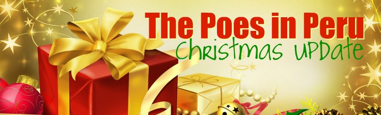 Poes in Peru Christmas Update